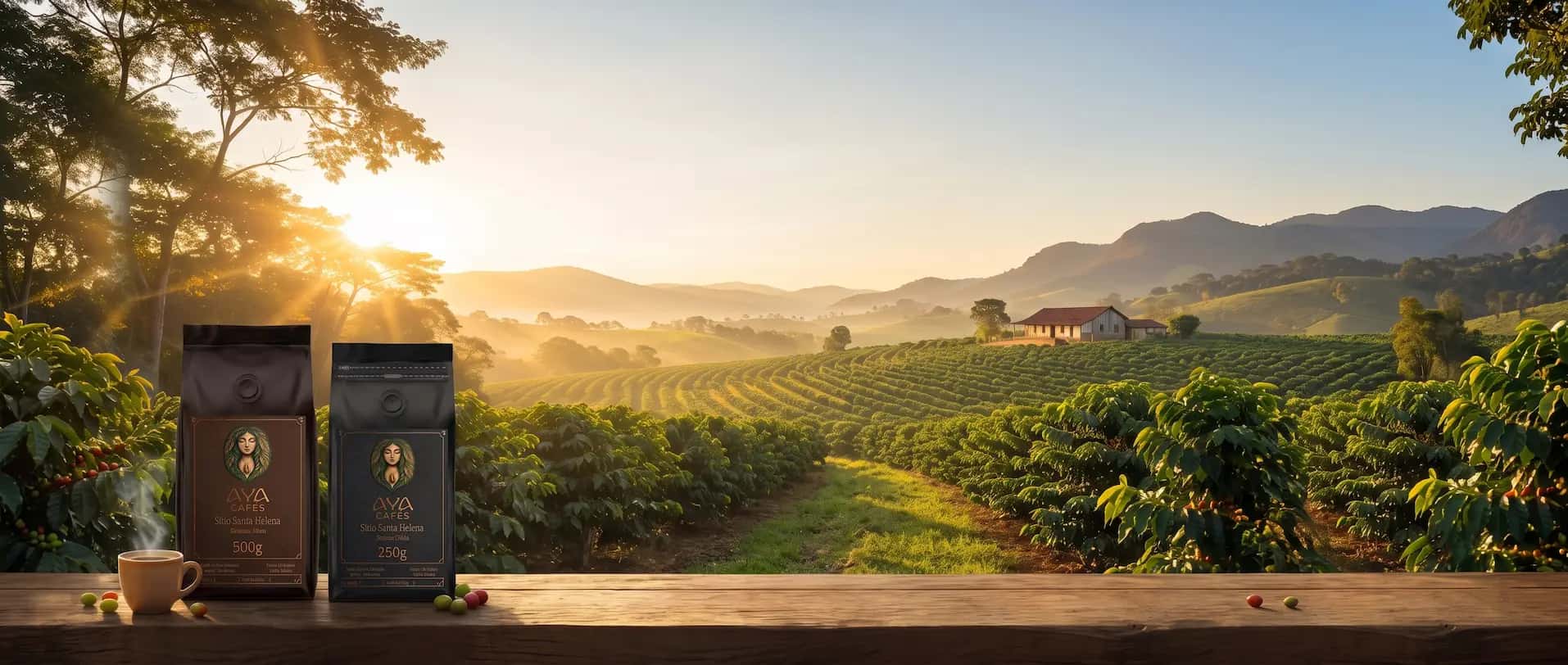 Embalagens do café Aya Sítio Santa Helena sobre uma mesa de madeira, com a fazenda ao fundo