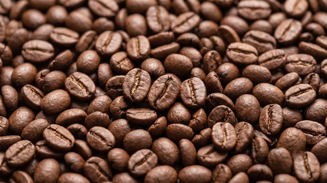 Grãos de café torrados, close-up