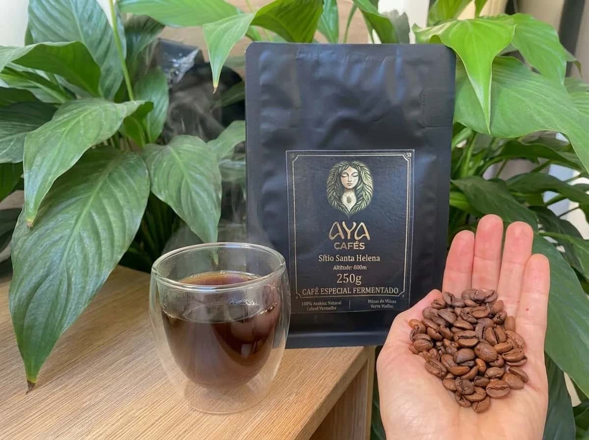 Pacote de 250 g da Aya Cafés, uma xícara de café e uma mão com grãos torrados